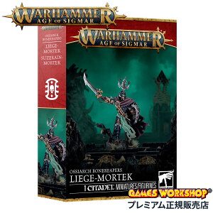 �y�ǉ��ő�+19�{�z�E�H�[�n���}�[ �G�C�W�E�I���E�V�O�}�[ AoS �I�V�A�[�N�E�{�[�����[�p�[�F���[�W�������[�e�N WARHAMMER AGE OF SIGMAR 94-46