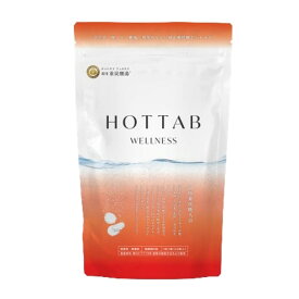 ホットタブ ウェルネス 90錠 薬用 重炭酸 入浴剤 無香料 医薬部外品 HOT TAB 保湿 送料無料 当日発送