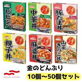 金のどんぶり 12個 10個 セット 中華丼 親子丼 ビビンパ 四川風麻婆丼 豚たま丼 山菜きのこ丼 アソート 非常食 備蓄 時短 【送料無料】