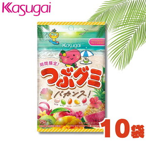 春日井製菓 つぶグミ バカンス 75g 10袋