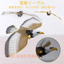 楽天市場】鳥追いカイト鷹(ポール竿付の通販