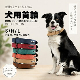 犬 首輪 PUレザー 合皮 二層構造 首や喉に優しい クッションインナー 亜鉛合金バックル 防錆 高耐久ベルト シンプル ドッグカラー お散歩 おでかけ しつけ トレーニング 小型犬 中型犬 大型犬 ペット用品