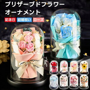 vU[uht[ ̓ v[g 蕨 a  KXh[ LEDCgt o Mtg   ͂Ȃ   LO t[Mtg