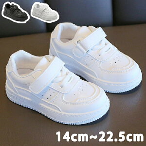 _XV[Y X|[c C  Xj[J[ LbY JWA V[Y q Cxg K n jp ^C i w ʉ ʊw y  qC LbY _X ʋC hL 