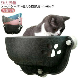 xbh L ybgxbh t  Lxbh L L nbN | 傫TCY xbh L  H z nbN  ~  lRp ˂ ɂ p Xebv  ͋z 