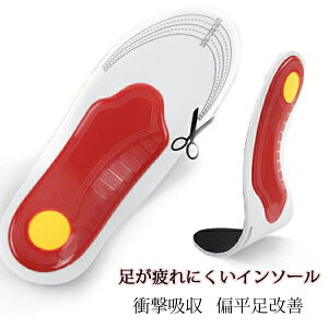 Ε X|[c C\[ A[`T|[g 3D  Ռz EVA f ̔ r̒ɂ pbh ~ u[c Xj[J[ ɂ ~ y܂ hL A[` vC Ȃ TCY