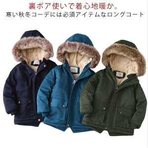 h Wp[  t[ht  {A j̎q hR[g qǂ ǂ ~ ~ JWA ʉ ʊw