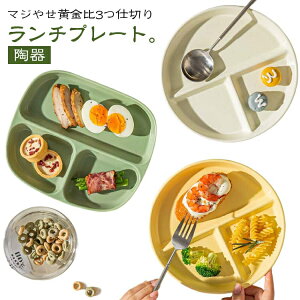 3d؂   d؂M d؂v[g H@Ή 20cm lp WΉ _CGbgv[g [^ H M `v[g v[g M JtF k }W₹ ؍G H