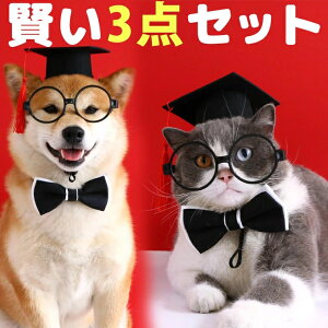 Ǝ RXv ybgp pX AJf~bNLbv ^{[h w w wX Xq nbggX m  hbOEFA RXvZbg LOBe ^ ^ ˂ lR 