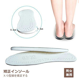 Or C\[ r Ռz EH[LO fB[X Y  A[`T|[^[ ʋC ᔽ ̌^ _炩 ɂ NbV Ε  s  C CPApi [