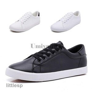 Xj[J[ Y C V[Y tFCNU[Xj[J[ ubN zCg  ₷