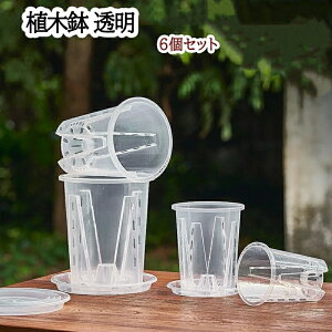 �A�ؔ� �v���X�`�b�N �X���b�g�� ������ �ϗt�A�� �� ��M�t�� 6�Z�b�g