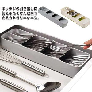 iCt Jg[[ oI[KiCU[ RpNg Jg[[ [ o̎d؂ Xv[ Jg[[P[X [ tH[N Lb`pi o H [P[X 