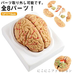 ���W�� �w�K �����\ �׋� ��w �S8�p�[�c���O���\ ���� �] �]���f�� �f�� �]�݂� �͌^ ��] �w�K �]�͌^ ��U �d�g�� �l�̖͌^ �f�ʐ} �}�� ��t ��w�� �_�o�w �e�X�g �]��U�͌^