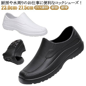 SC RbNV[Y ~[C ~[C Lb` ϊ EVAf HX y ϖ ~[C h R hL ɂ Ռz  