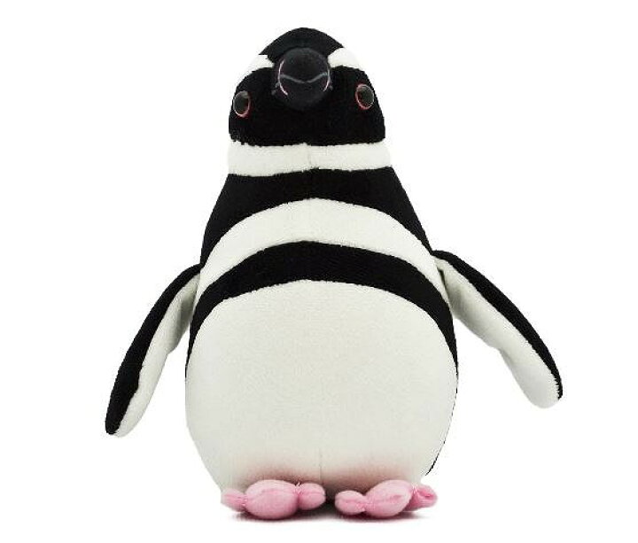 楽天市場】【AQUA 正規品】 ぬいぐるみ マゼランペンギン 000100286 