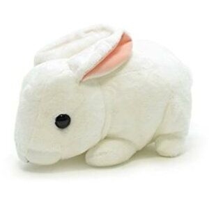 yAQUA@Kiz ʂ t@[    zCg 001600709yz iAeAl`AߋAAʂ݁ALN^[ObYj iyVLO܁E