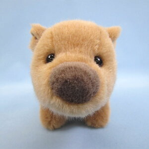 yX^[`Ch@Kiz@ʂ݁@V@i1671j yzîACmVVAl`AߋAAʂ݁ALN^[ObYAv[gɍœKj