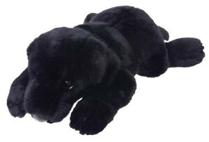 ĝʂݐKiDOG LOVERS@(hbO@[Y)@uh[go[@L@180417yziCkAʁAAhbOAAʂ݁jiyVLO܁E