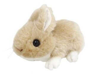 ĝʂݐKi肭̂Ȃ܂@ʂ݁@ETM@x[W@180503yziETMAArbgAeAl`AߋAAʂ݁ALN^[O