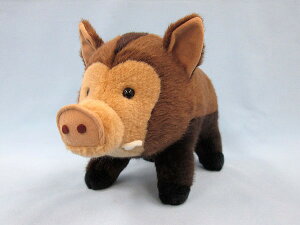 yX^[`Ch@Kiz@ʂ݁@CmVV@35cm@yziCmVVÂAl`AߋAʂ݁ALN^[j