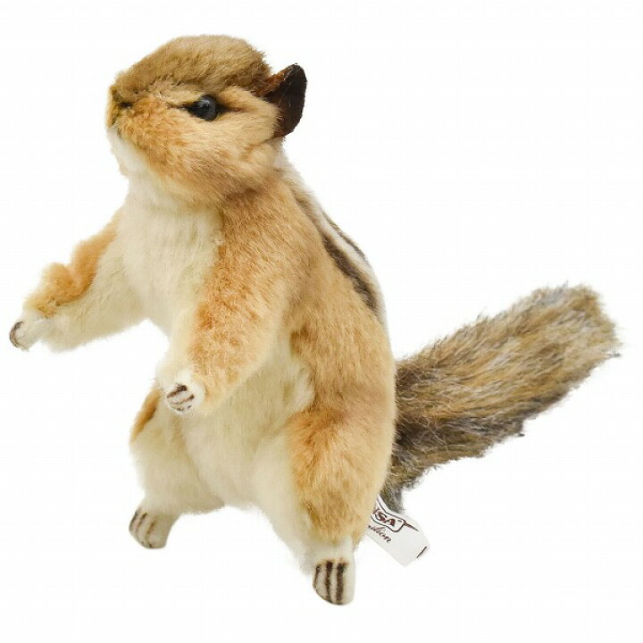 楽天市場 Hansa シマリス12 42 送料無料 りす リス 人形 置物 オブジェ ぬいぐるみ キャラクターグッズ 楽天ランキング受賞 ぬいぐるみ リス8位 22 10 19デイリー セレクトプラス