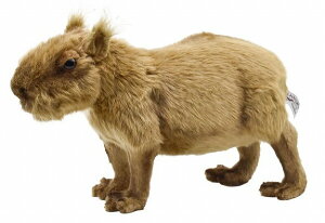 HANSAKi@Jso 33 CAPYBARA@@5128yziJspA҂ςAl`AuAIuWFAʂ݁ALN^[ObYj