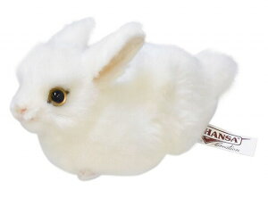 HANSAKi@ETM 16 RABBIT 5823yziETMAArbgAl`AuAIuWFAʂ݁ALN^[ObYj