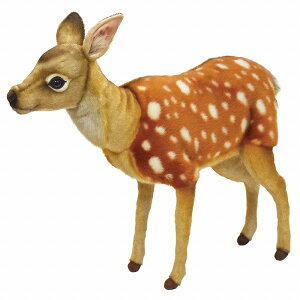 HANSAKi@jzWJ@55@7803yziAVJAAl`AuAIuWFAʂ݁ALN^[ObYjiyVLO܁Eʂ VJLO3ʁA2022/12/1