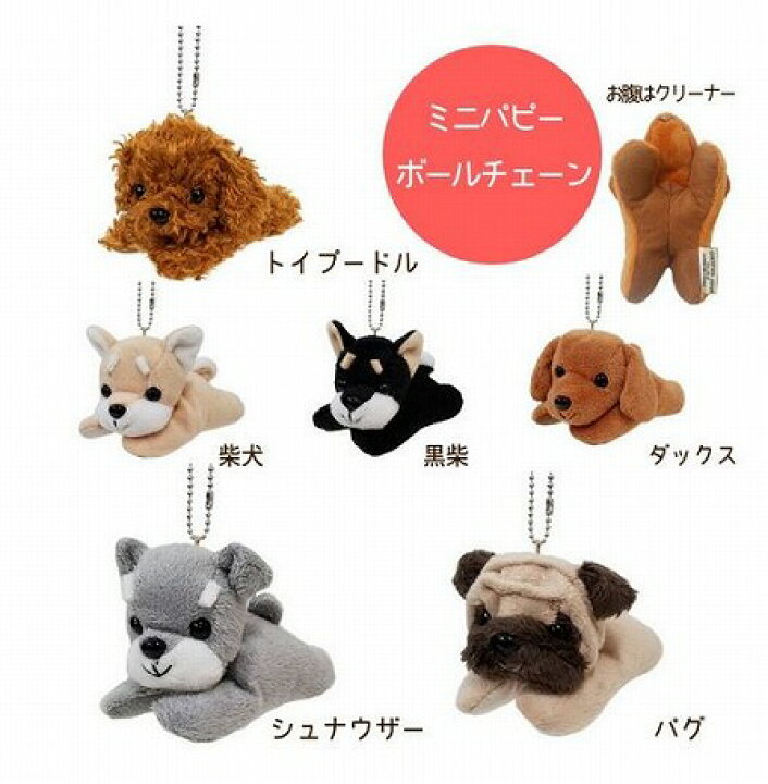 楽天市場 ミニサイズのぬいぐるみボールチェーン付 プレミアムミニパピー マスコット 画面クリーナー トイプードル 1点 送料無料 犬 いぬ イヌ 人形 マスコット ストライプ チャーム ぬいぐるみ キャラクターグッズ プレゼントに最適 楽天市場 ミニサイズのぬいぐるみボールチェーン付 プレミアムミニパピー マスコット 画面クリーナー トイプードル 1点 送料無料 犬 いぬ イヌ 人形 マスコット ストライプ チャーム ぬいぐるみ キャラクターグッズ プレゼントに最適