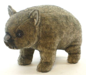 HANSAKi@EHobg 3248yzil`AuAIuWFAʂ݁ALN^[ObYj