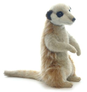 HANSAKi@~[ALbg 3703 yzil`AuAIuWFAʂ݁ALN^[ObYj