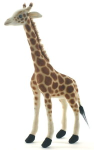 HANSAKi@L 3731 yzil`AuAIuWFAʂ݁ALN^[ObYjiyVLO܁Eʂ LLO 4 A2020/5/24WvA5/25XVAf