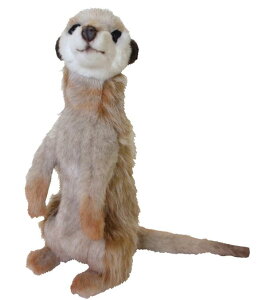 HANSAKi@~[ALbg 4576yzil`AuAIuWFAʂ݁ALN^[ObYj