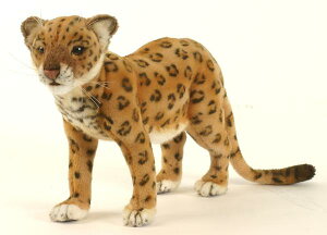 HANSAKi@AigAqE 5189yzil`AuAIuWFAʂ݁ALN^[ObYj