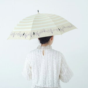 yՌՔMzR[eBOJpP@50cmJw{[_[ƔLƉxyz iPAUV΍AO΍AJpPAJPAPj