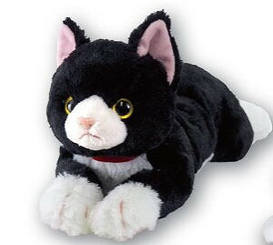 Ђ˂@n`@MTCYiP-6222jyzi˂AlRALAʂ݁Al`AߋAALN^[ObYAv[gɍœKj