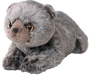 yPLUSmmzЂ˂@ʂ݁@ɂӁ@v~A^b`@XReBbVtH[h@GYiP-8342jyzi˂AlRALAʂ݁Al`AߋAALN^[O