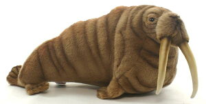 HANSAKi@ZCE` 5327yzil`AuAIuWFAʂ݁ALN^[ObYj