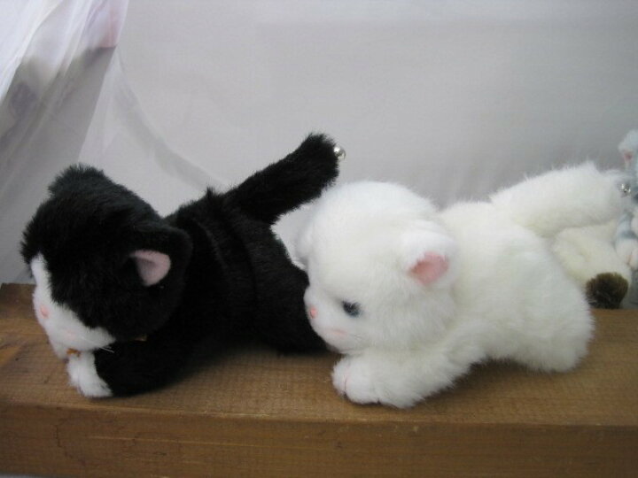 楽天市場 這い猫のプチシェリー ヌイグルミ 1個 種類 黒猫 猫 ねこ ネコ 人形 ぬいぐるみ キャラクターグッズ 楽天ランキング受賞 ぬいぐるみ ネコ6位 15 9 30デイリー セレクトプラス