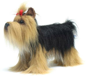 HANSAKi@[NV[eA 5909yzil`AuAIuWFAʂ݁ALN^[ObYjSP-180603