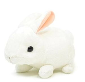 yAQUA@Kiz ʂ t@[   zCg 00080054 yz iAeAl`AߋAAʂ݁ALN^[ObYj iyVLO܁E