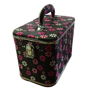 RX{bNXEg`P[X ԕiNo.6646-01jyz iσ|[`ARXP[XACN{bNXAobOAj