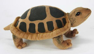 HANSAKi@J 3816 yzi߁ATAl`AuAIuWFAʂ݁ALN^[ObYjiyVLO܁Eʂ JLO4ʁA2016/9/22WvA9/24XV