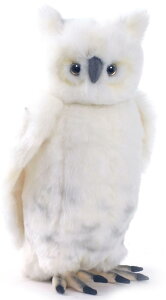 HANSAKi@tNE 3836yzil`AuAIuWFAʂ݁ALN^[ObYj