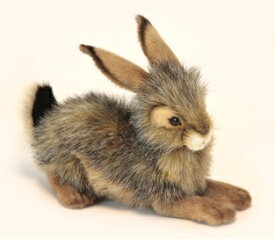 HANSA オグロウサギ 6284 【送料無料】（ウサギ、うさぎ、ラビット、人形、置物、オブジェ、ぬいぐるみ、キャラクターグッズ）