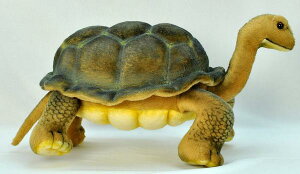 HANSAKi@]EK 6461yziJA߁ATAl`AuAIuWFAʂ݁ALN^[ObYjiyVLO܁Eʂ JLO7ʁA2020/8/9Wv