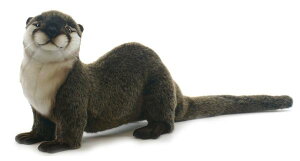 HANSAKi@JE\ 3319yzil`AuAIuWFAʂ݁ALN^[ObYj