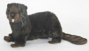 HANSAKi@r[o[ 4274yzil`AuAIuWFAʂ݁ALN^[ObYj