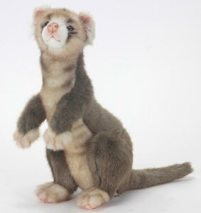 HANSAKi@tFbg 4556yzil`AuAIuWFAʂ݁ALN^[ObYj